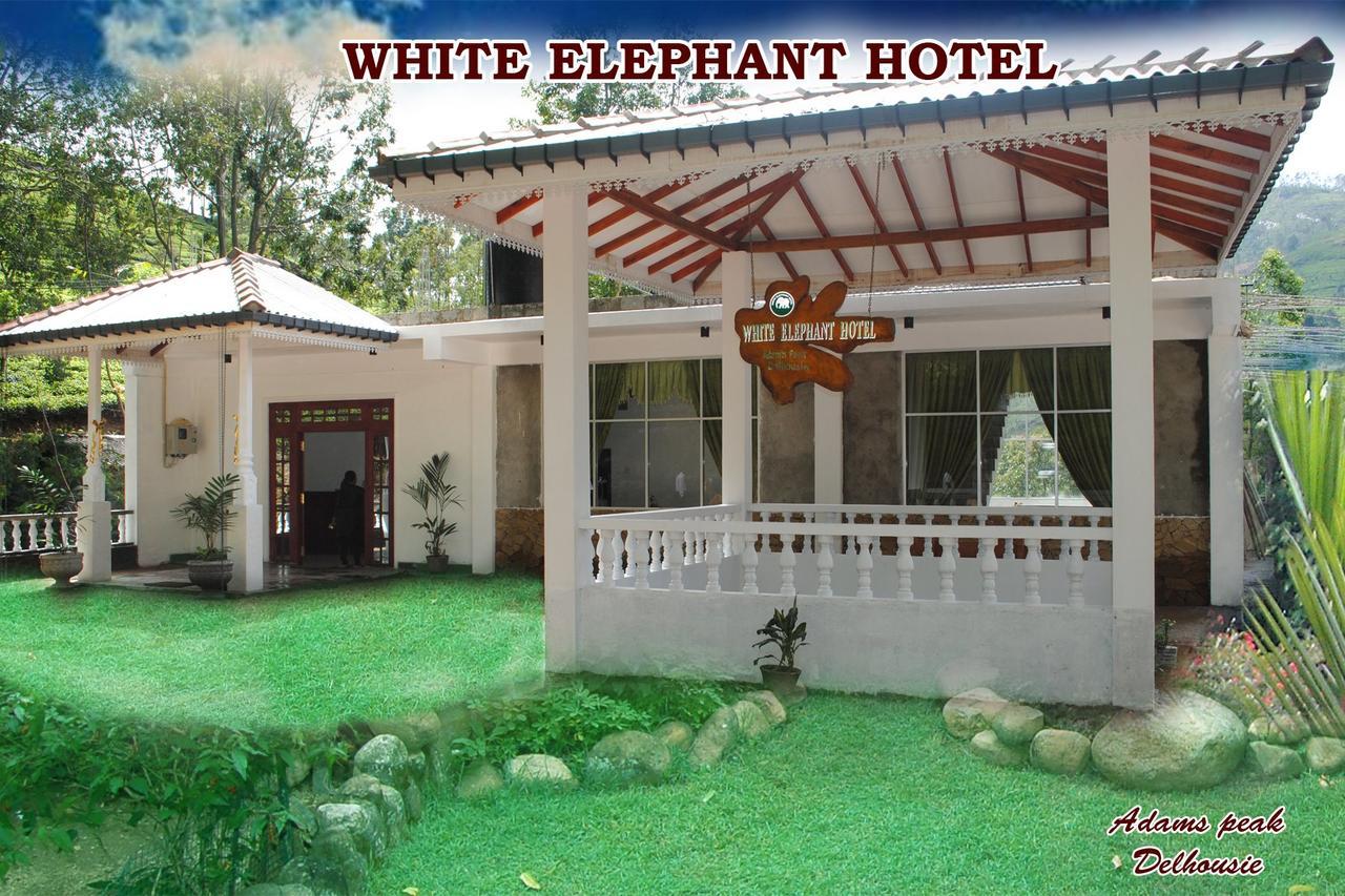 White Elephant Hotel Maskeliya Exterior photo